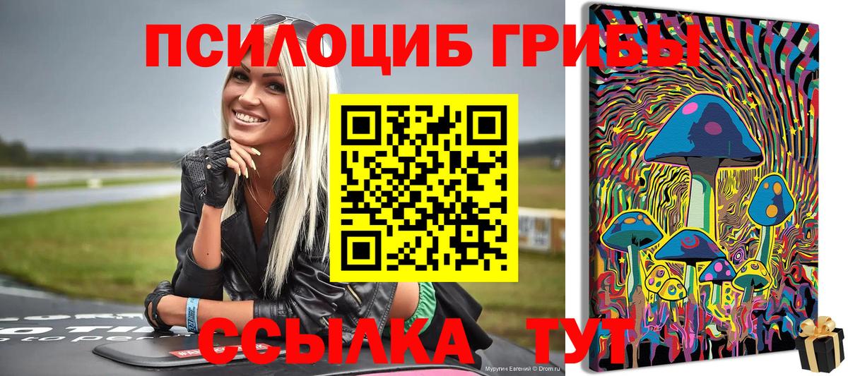 Кубинка  Псилоцибиновые грибы мицелий  Вход с VPN 