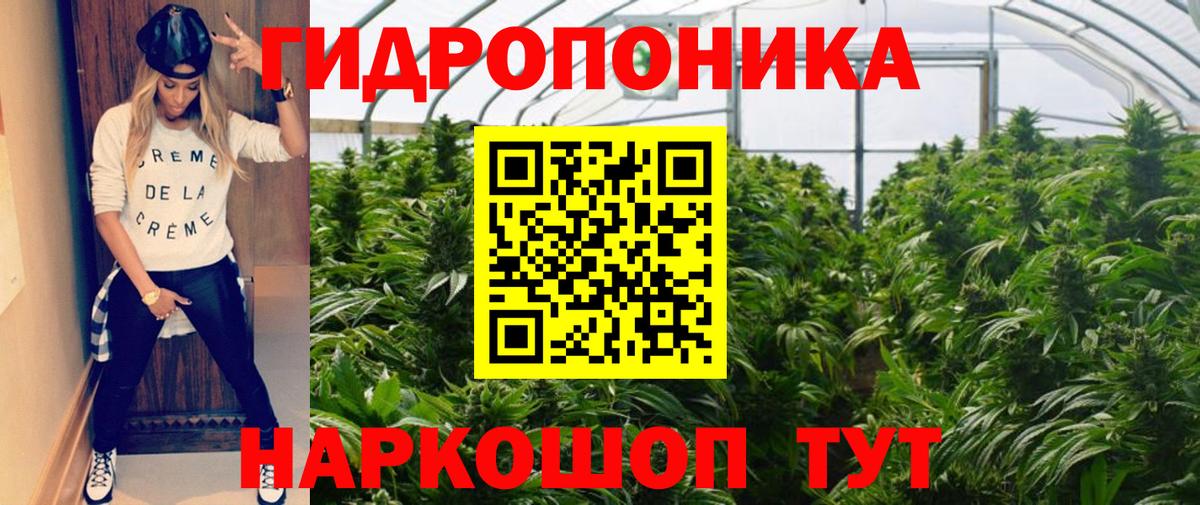 Марихуана семена  Шишки марихуана тримм  Вход с VPN  Кубинка  Канабис планчик  Марихуана марихуана 